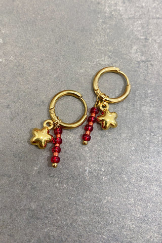 MEIKE EARRING (1STUK)