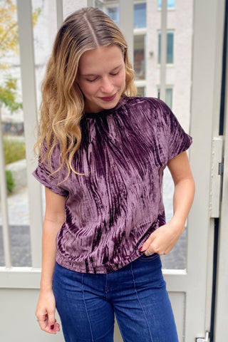 NCEBA VELVET TOP FIG