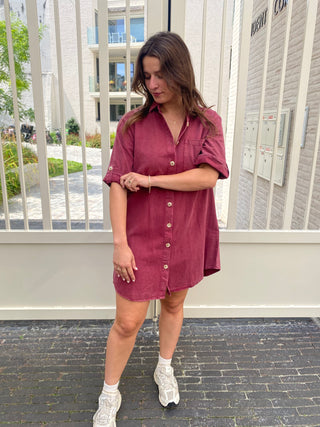 LUUKE LS DRESS PLUM